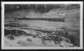 Thumbnail image of item number 1 in: '[End view of lock and dam. Location unknown]'.