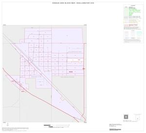2000 Census County Subdivison Block Map: Shallowater CCD, Texas, Inset A01