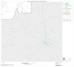 2000 Census County Subdivison Block Map: Palestine CCD, Texas, Block 13