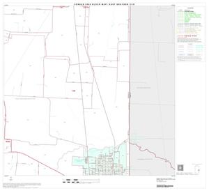 2000 Census County Subdivison Block Map: East Grayson CCD, Texas, Block 19