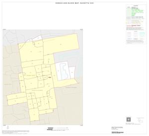 2000 Census County Subdivison Block Map: Daisetta CCD, Texas, Inset A01