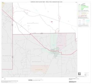 2000 Census County Subdivison Block Map: Realitos-Concepcion CCD, Texas, Block 4