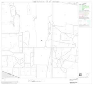 2000 Census County Subdivison Block Map: San Antonio CCD, Texas, Block 110