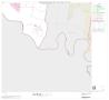 Primary view of 2000 Census County Subdivison Block Map: Sullivan City CCD, Texas, Block 13