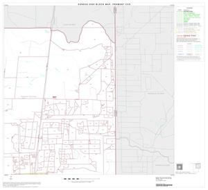 2000 Census County Subdivison Block Map: Premont CCD, Texas, Block 2
