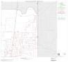 Map: 2000 Census County Subdivison Block Map: Premont CCD, Texas, Block 2