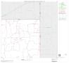 Thumbnail image of item number 1 in: '2000 Census County Subdivison Block Map: Canadian South CCD, Texas, Block 2'.