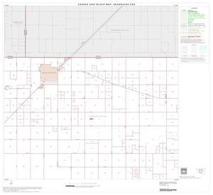 2000 Census County Subdivison Block Map: Seagraves CCD, Texas, Block 2