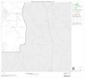 2000 Census County Subdivison Block Map: Jacksboro CCD, Texas, Block 13