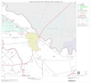 2000 Census County Subdivison Block Map: Brazoria-West Columbia CCD, Texas, Block 9