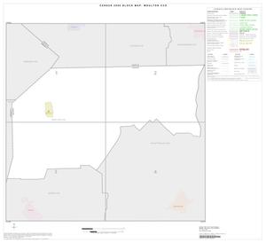 2000 Census County Subdivison Block Map: Moulton CCD, Texas, Index