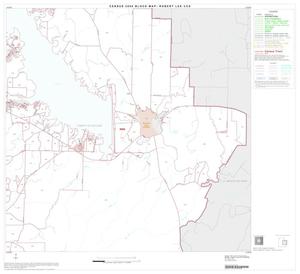 2000 Census County Subdivison Block Map: Robert Lee CCD, Texas, Block 4