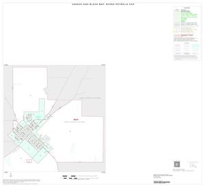 2000 Census County Subdivison Block Map: Byers-Petrolia CCD, Texas, Inset B02