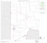 Map: 2000 Census County Subdivison Block Map: Melvin CCD, Texas, Block 3