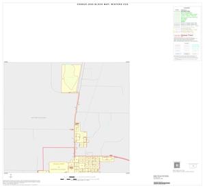 2000 Census County Subdivison Block Map: Winters CCD, Texas, Inset A01