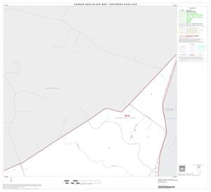 2000 Census County Subdivison Block Map: Copperas Cove CCD, Texas, Block 2