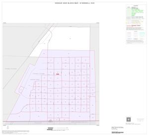 2000 Census County Subdivison Block Map: O'Donnell CCD, Texas, Inset A01