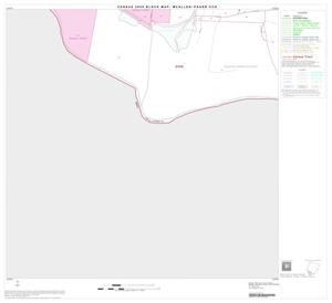 2000 Census County Subdivison Block Map: McAllen-Pharr CCD, Texas, Block 20