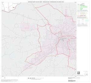 2000 Census County Subdivison Block Map: Montalba-Tennessee Colony CCD, Texas, Block 8