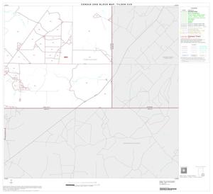 2000 Census County Subdivison Block Map: Tilden CCD, Texas, Block 12