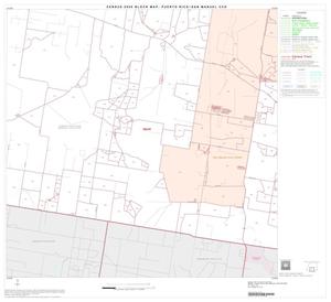 2000 Census County Subdivison Block Map: Puerto Rico-San Manuel CCD, Texas, Block 5