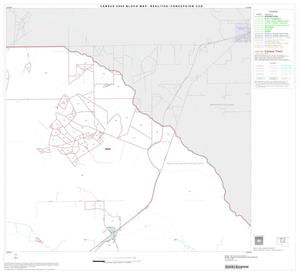 2000 Census County Subdivison Block Map: Realitos-Concepcion CCD, Texas, Block 2