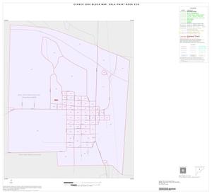 2000 Census County Subdivison Block Map: Eola-Paint Rock CCD, Texas, Inset A01