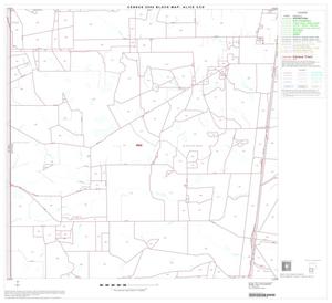 2000 Census County Subdivison Block Map: Alice CCD, Texas, Block 5