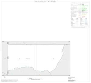 Primary view of object titled '2000 Census County Subdivison Block Map: Bettie CCD, Texas, Index'.