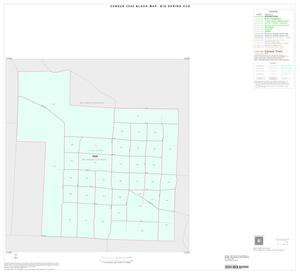 2000 Census County Subdivison Block Map: Big Spring CCD, Texas, Inset C01