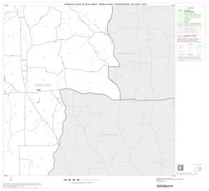 2000 Census County Subdivison Block Map: Montalba-Tennessee Colony CCD, Texas, Block 5