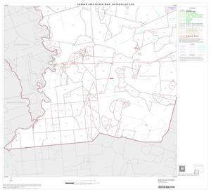 2000 Census County Subdivison Block Map: Batesville CCD, Texas, Block 3