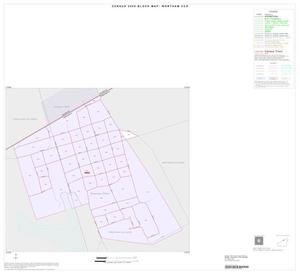 2000 Census County Subdivison Block Map: Wortham CCD, Texas, Inset A01