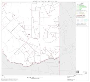 2000 Census County Subdivison Block Map: Big Wells CCD, Texas, Block 6