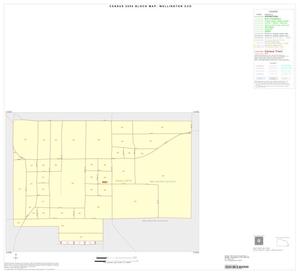 2000 Census County Subdivison Block Map: Wellington CCD, Texas, Inset B01