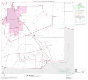 2000 Census County Subdivison Block Map: Coleman CCD, Texas, Block 7