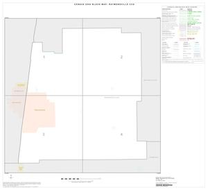 2000 Census County Subdivison Block Map: Raymondville CCD, Texas, Index