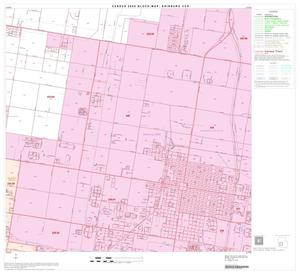 2000 Census County Subdivison Block Map: Edinburg CCD, Texas, Block 10