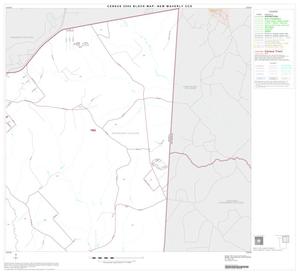 2000 Census County Subdivison Block Map: New Waverly CCD, Texas, Block 2