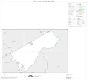 2000 Census County Subdivison Block Map: Bremond CCD, Texas, Index