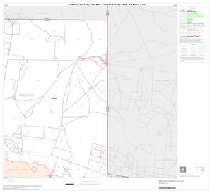 2000 Census County Subdivison Block Map: Puerto Rico-San Manuel CCD, Texas, Block 3