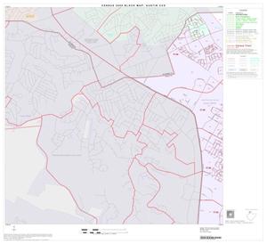 2000 Census County Subdivison Block Map: Austin CCD, Texas, Block 3