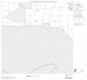 Primary view of object titled '2000 Census County Subdivison Block Map: Byers-Petrolia CCD, Texas, Block 4'.