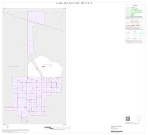 2000 Census County Subdivison Block Map: Melvin CCD, Texas, Inset A01