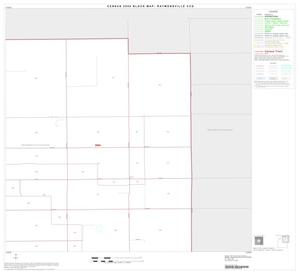 2000 Census County Subdivison Block Map: Raymondville CCD, Texas, Block 2