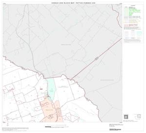 Primary view of object titled '2000 Census County Subdivison Block Map: Pettus-Pawnee CCD, Texas, Block 2'.