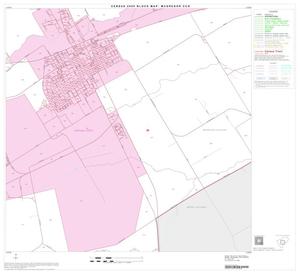 2000 Census County Subdivison Block Map: McGregor CCD, Texas, Block 5