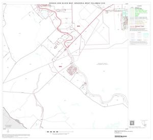 2000 Census County Subdivison Block Map: Brazoria-West Columbia CCD, Texas, Block 13