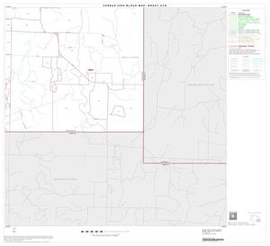 2000 Census County Subdivison Block Map: Brady CCD, Texas, Block 11