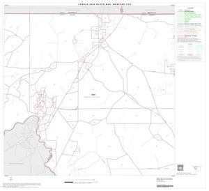 Primary view of object titled '2000 Census County Subdivison Block Map: Mentone CCD, Texas, Block 2'.